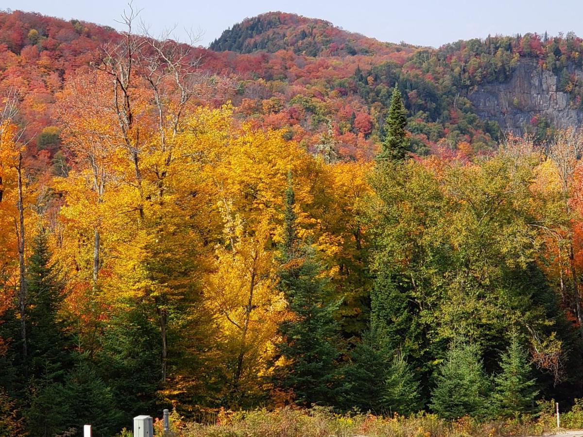 Chalet F116 Mont-Tremblant Nord Lac-Superieur Eksteriør billede