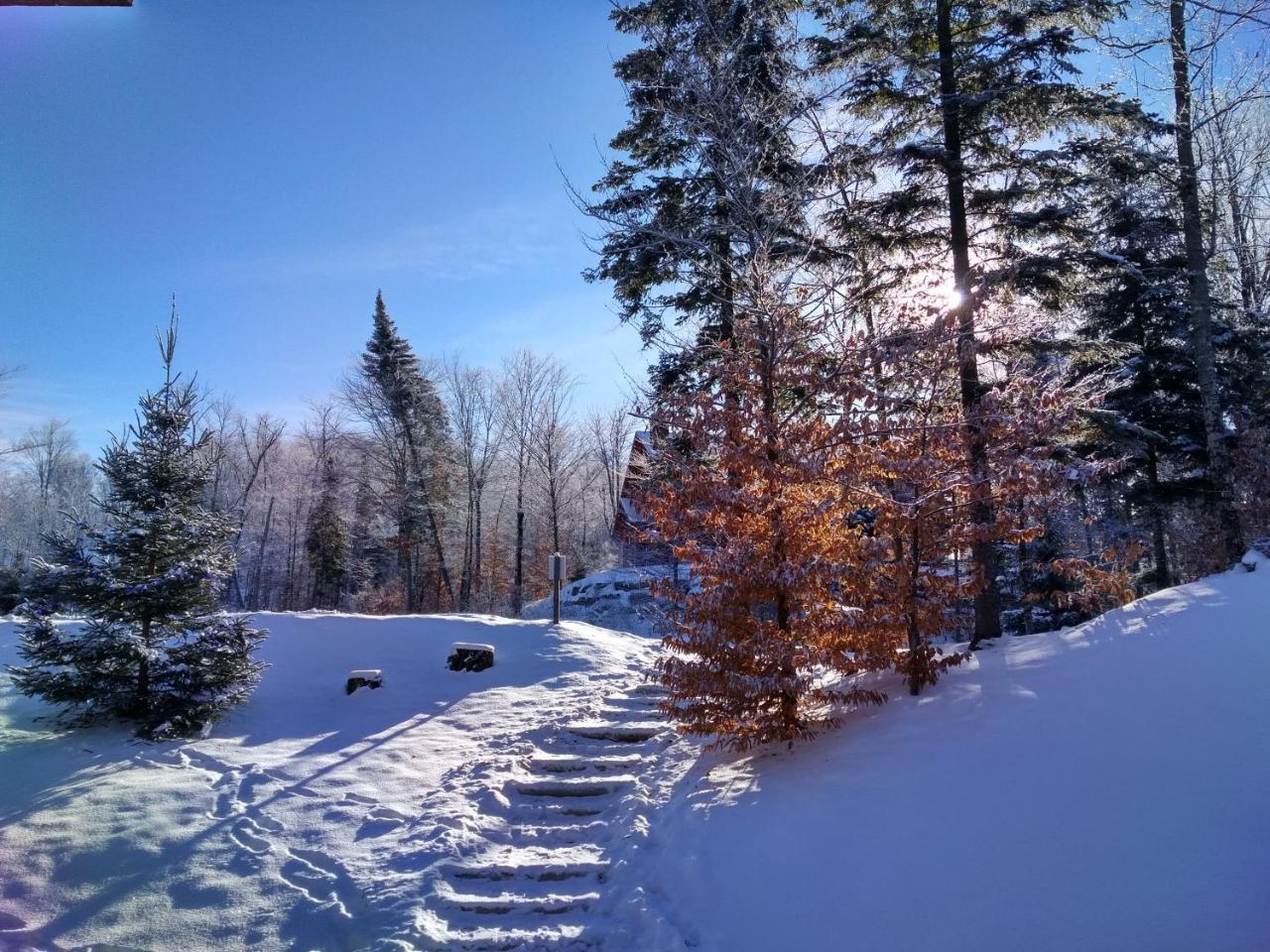 Chalet F116 Mont-Tremblant Nord Lac-Superieur Eksteriør billede