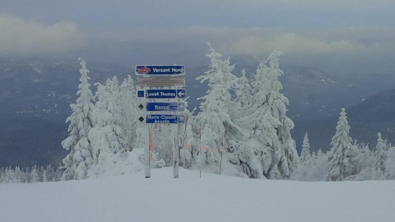 Chalet F116 Mont-Tremblant Nord Lac-Superieur Eksteriør billede